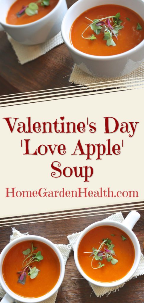 Love Apple Soup for Valentine's Day - Valentine's Tomato Soup