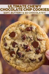 Top 10 Chocolate Chip Cookie Recipes To Tantalize Your Taste Buds!