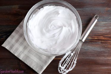 butter cream frosting bowl and whisk