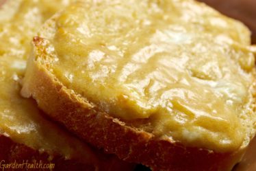 Welsh Rarebit with melted cheese and beer topping