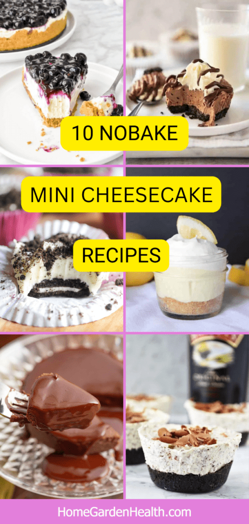 Mini No bake Cheesecake Recipes