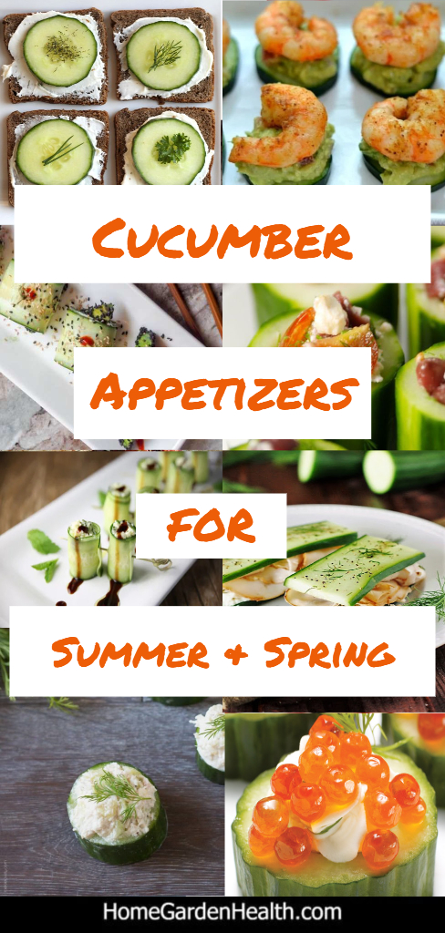 16 Fresh Cucumber Appetizers for Summer and Spring