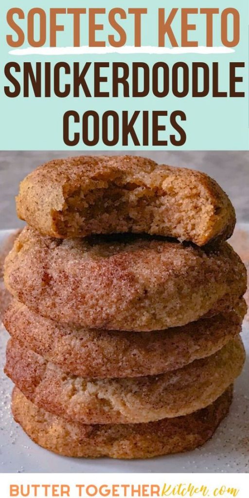 Keto Diet Desserts - Delicious Keto Snickerdoodle Cookies