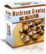Vist Mushroom Growing 4 You