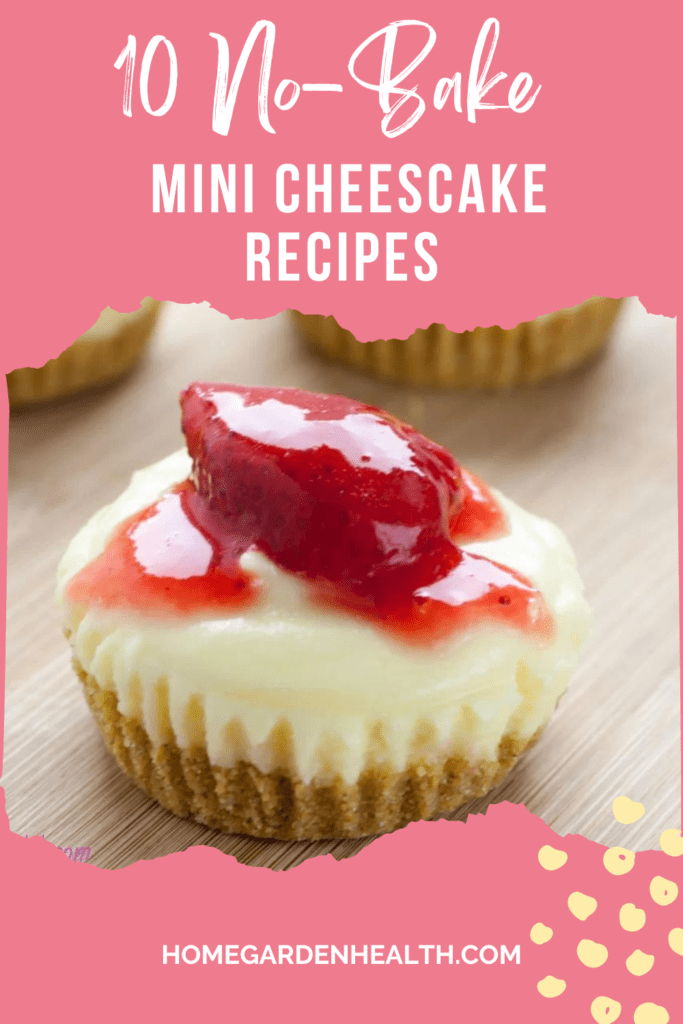 10 mini no-bake cheeseckae recipes