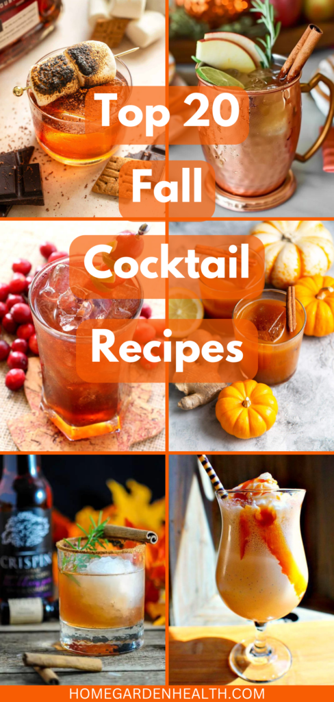 Top 20 Fall Cocktail Recipes