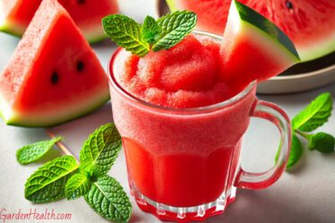 Watermelon Slushie Recipe for summer