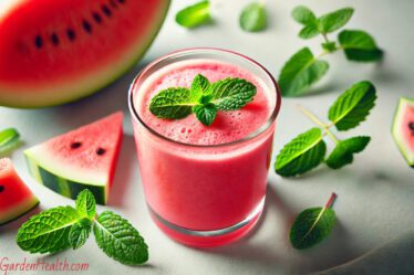 A water melon smoothei Main ptcure