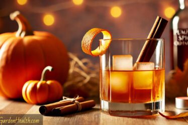 Old Fashioned Pumpkins Spice Halloween Cocktail Recipe