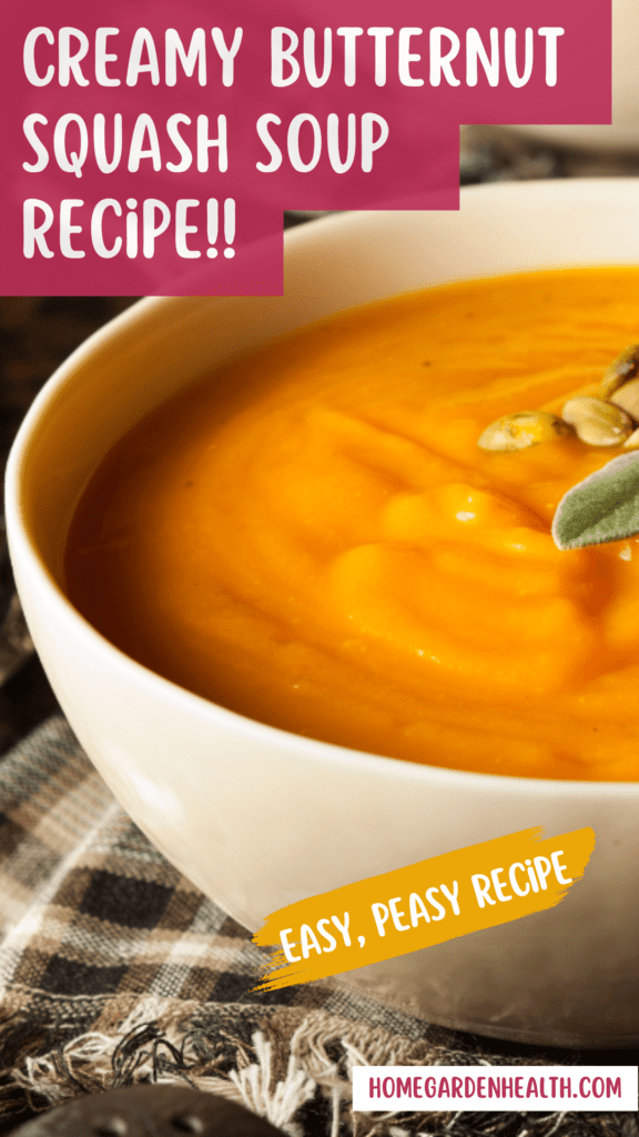 creamy butternut squash soup recipe Pinterest Pin