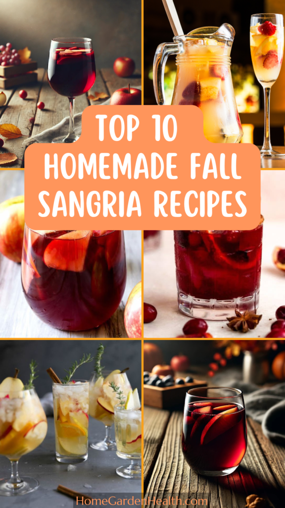 Top 10 Hmmemade Fall Sangria Recipes Pin